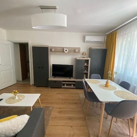 Apartamentul Gaviota Тимишоара Экстерьер фото