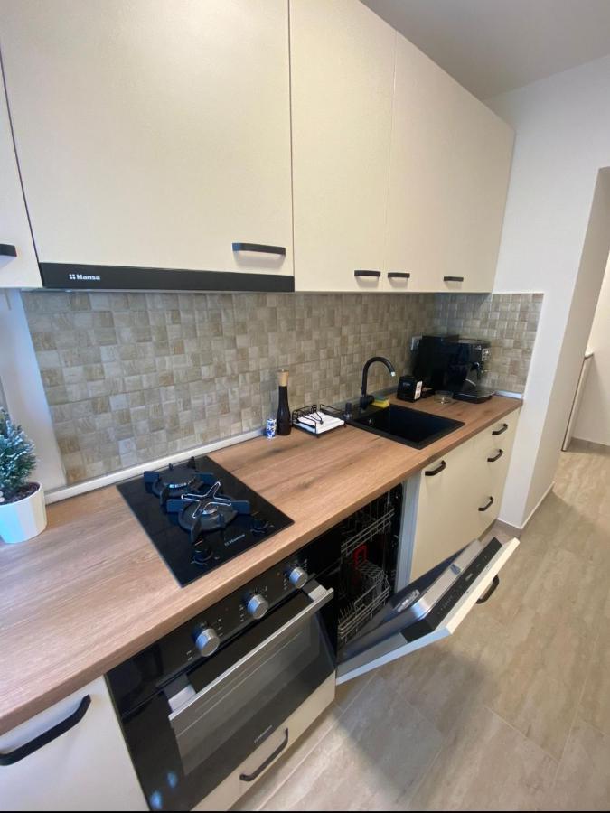 Apartamentul Gaviota Тимишоара Экстерьер фото