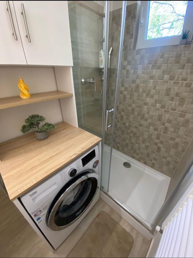 Apartamentul Gaviota Тимишоара Экстерьер фото