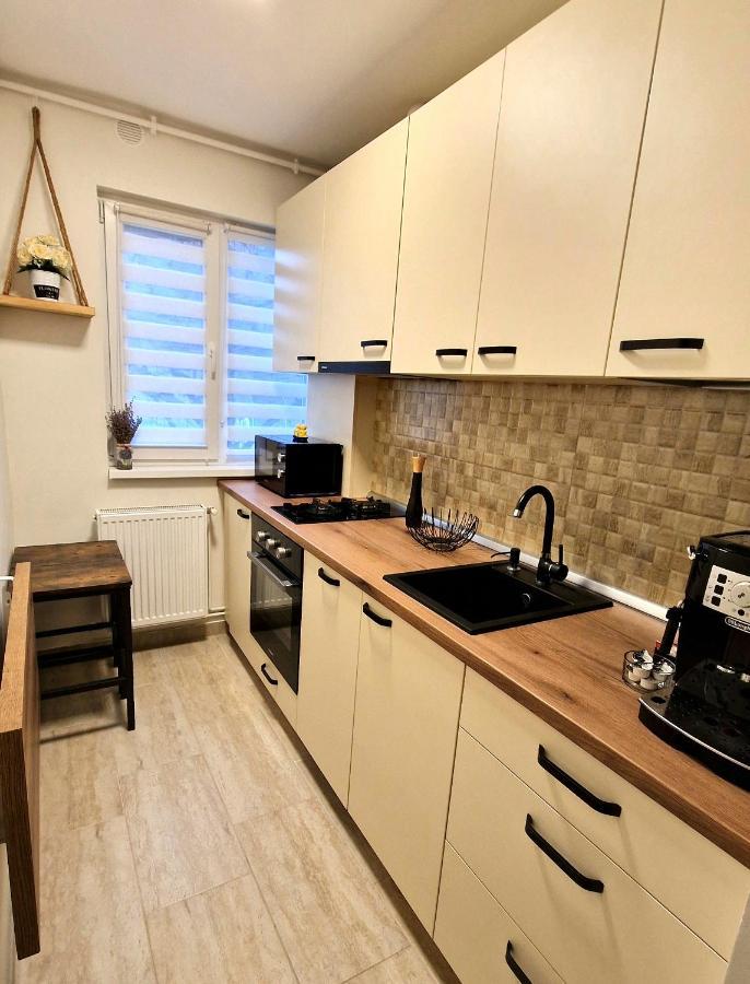 Apartamentul Gaviota Тимишоара Экстерьер фото