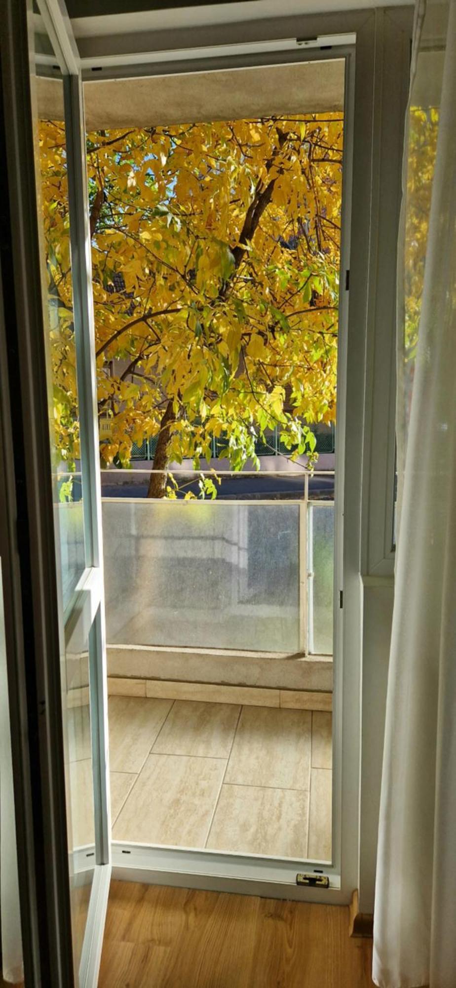 Apartamentul Gaviota Тимишоара Экстерьер фото